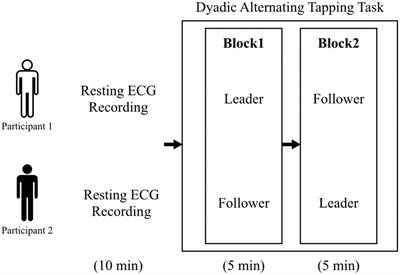 The physiological basis of leader-follower roles in the dyadic alternating tapping task